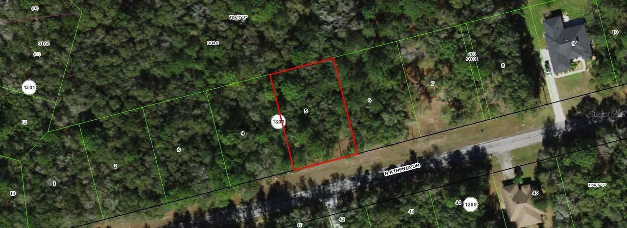 10205 N Athenia Dr., Citrus Springs, FL 34434