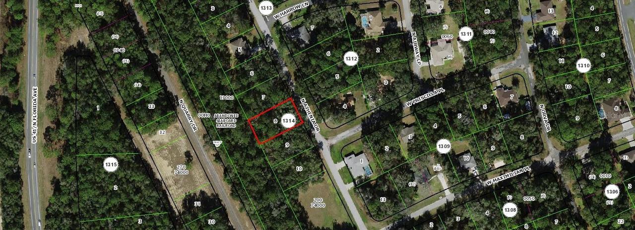 10676 N Athenia Dr., Citrus Springs, FL 34434