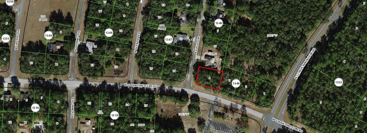 11007 N Fuego Dr., Citrus Springs, FL 34434