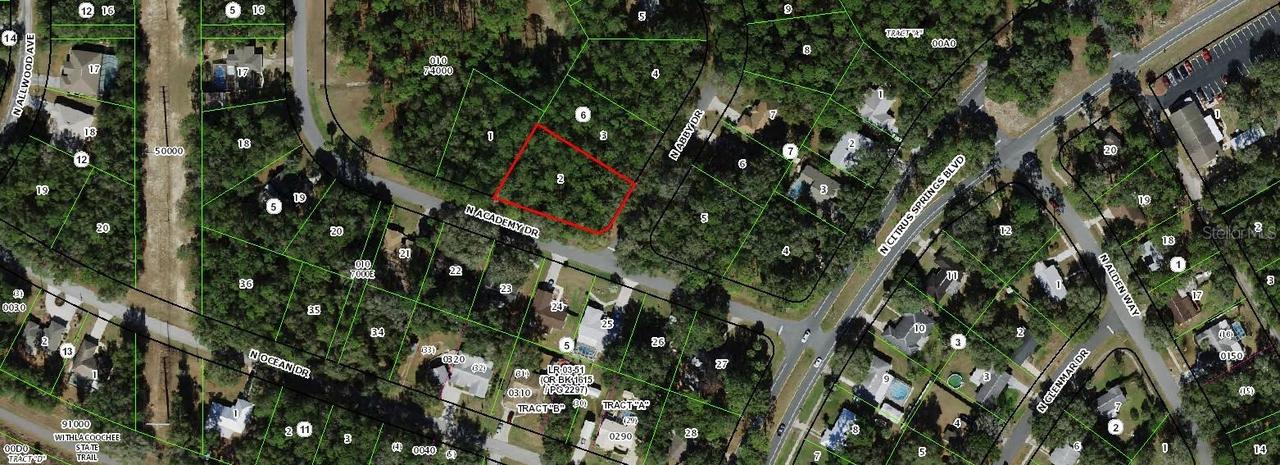 10141 N Academy Dr., Citrus Springs, FL 34434