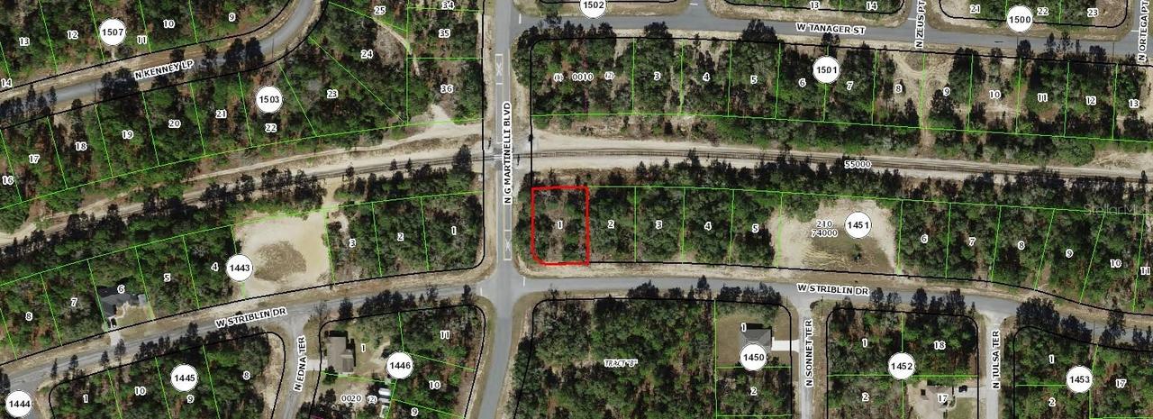 11241 N G Martinelli Blvd., Citrus Springs, FL 34433