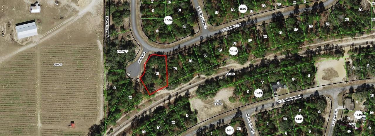 11247 N Ely Point, Dunnellon, FL 34433