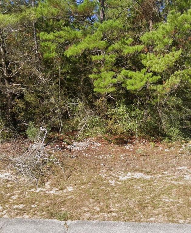 Oxford Ave., Chipley, FL 32428