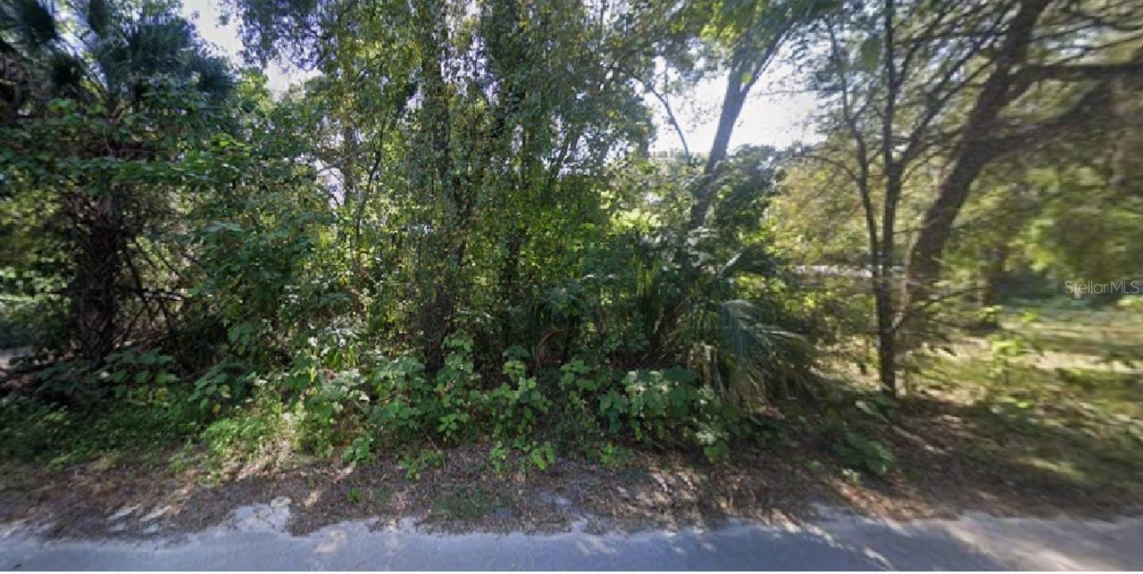 NE 167th Pl., Citra, FL 32113