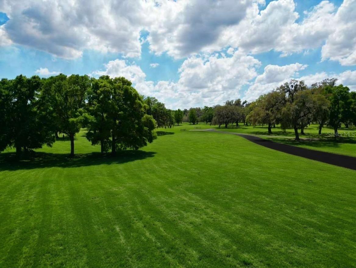 Tbd Se 115th St, Belleview, FL 34420