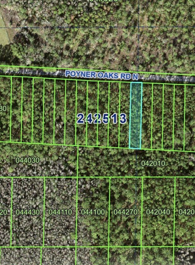 Poyner Oaks Rd., Polk City, FL 33868