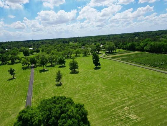 New Homes For Sale This Week in Belleview: May 22nd to May 28th