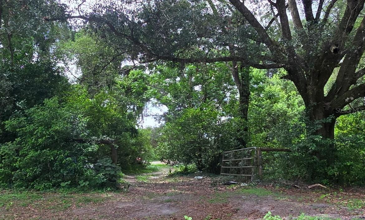 21320 Seneca Hills Rd., Eustis, FL 32736
