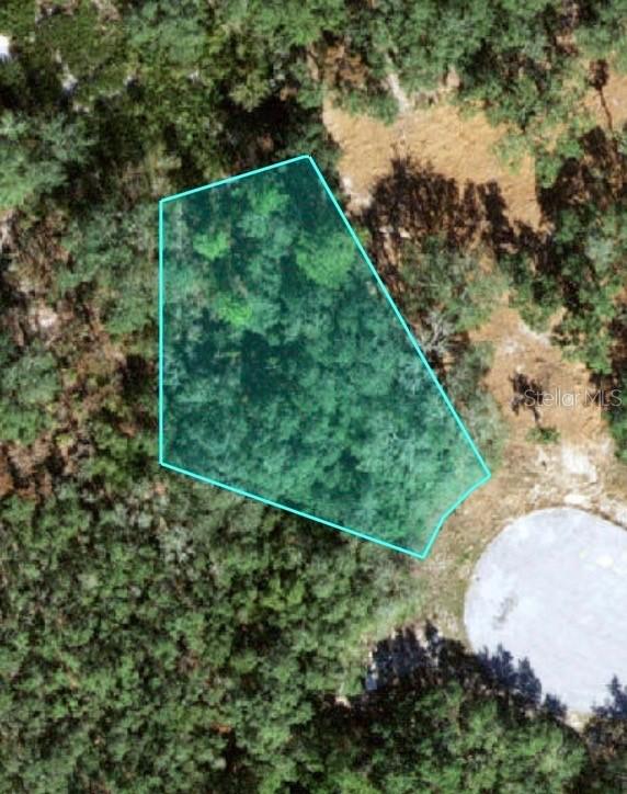 121 Warmouth Ln., Poinciana, FL 34759