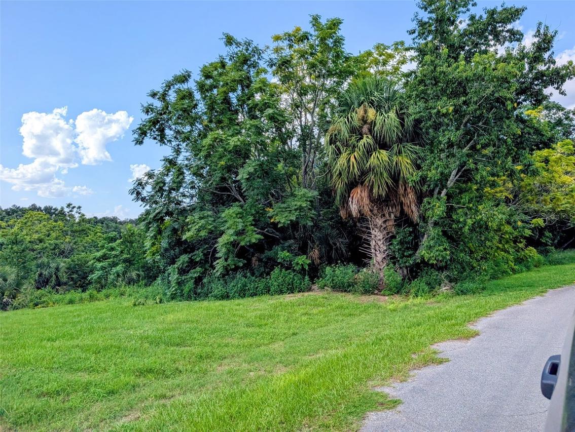 Green Briar Dr., Lady Lake, FL 32159