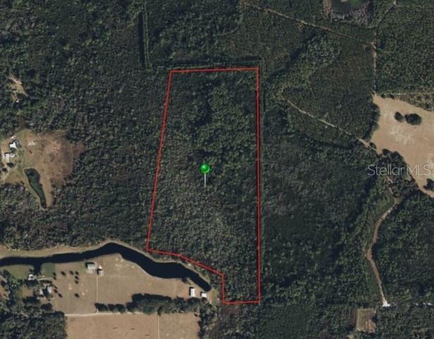 Raulerson Rd., Seville, FL 32190