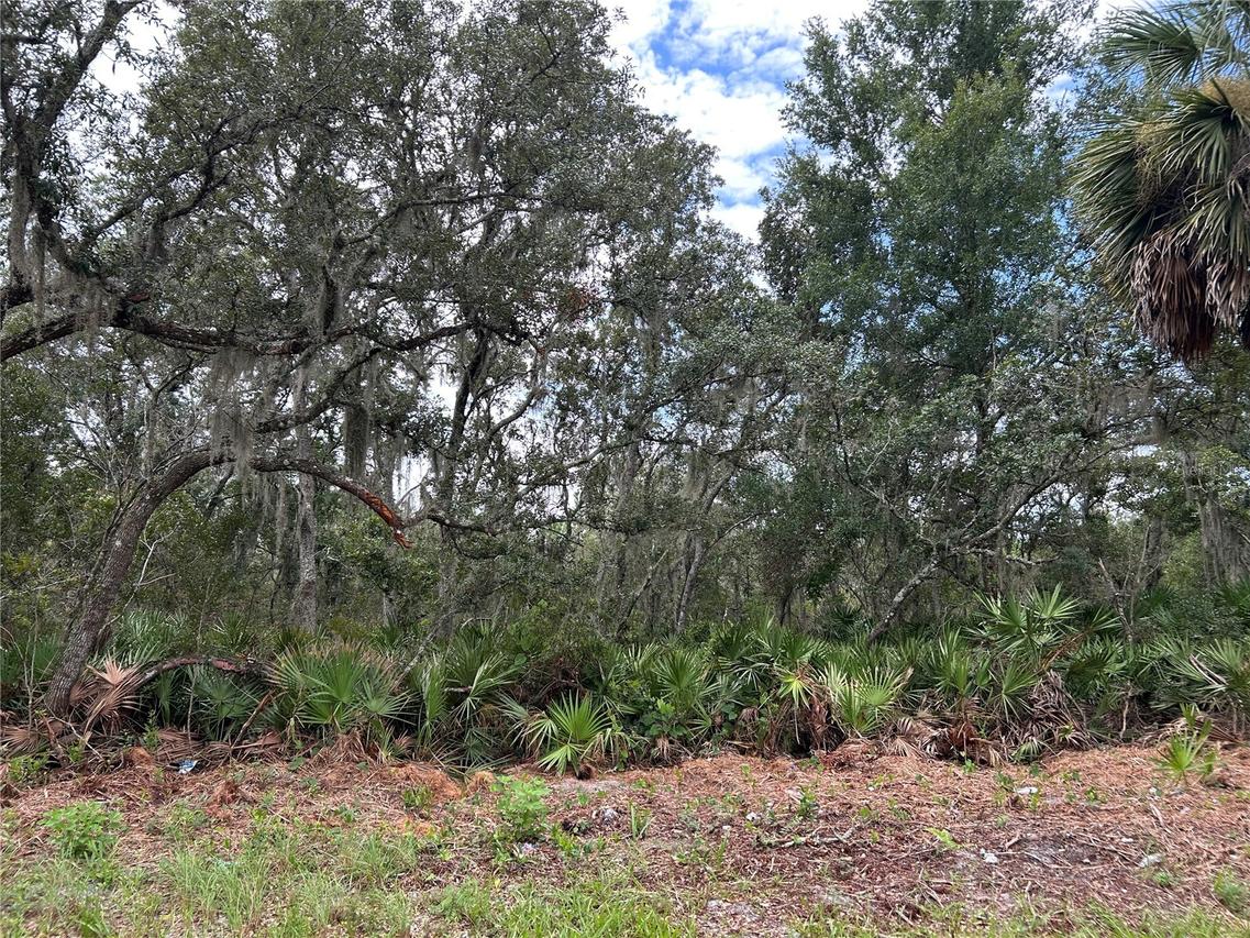 Peterson Rd., Pierson, FL 32180