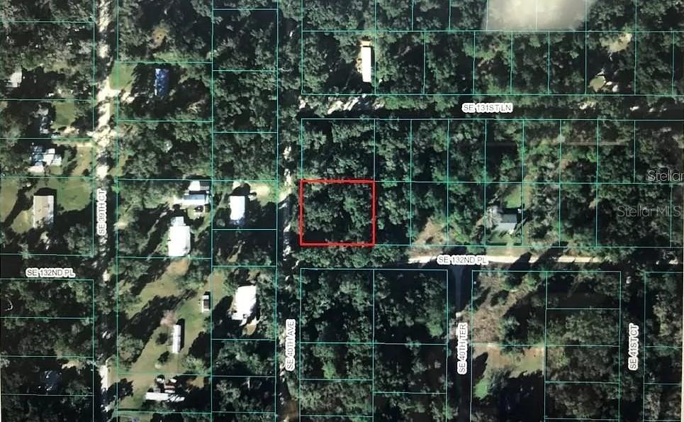 SE 132nd Pl., Belleview, FL 34420