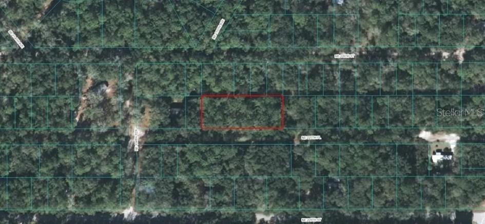 00 NE 225th Pl., Fort Mc Coy, FL 32134