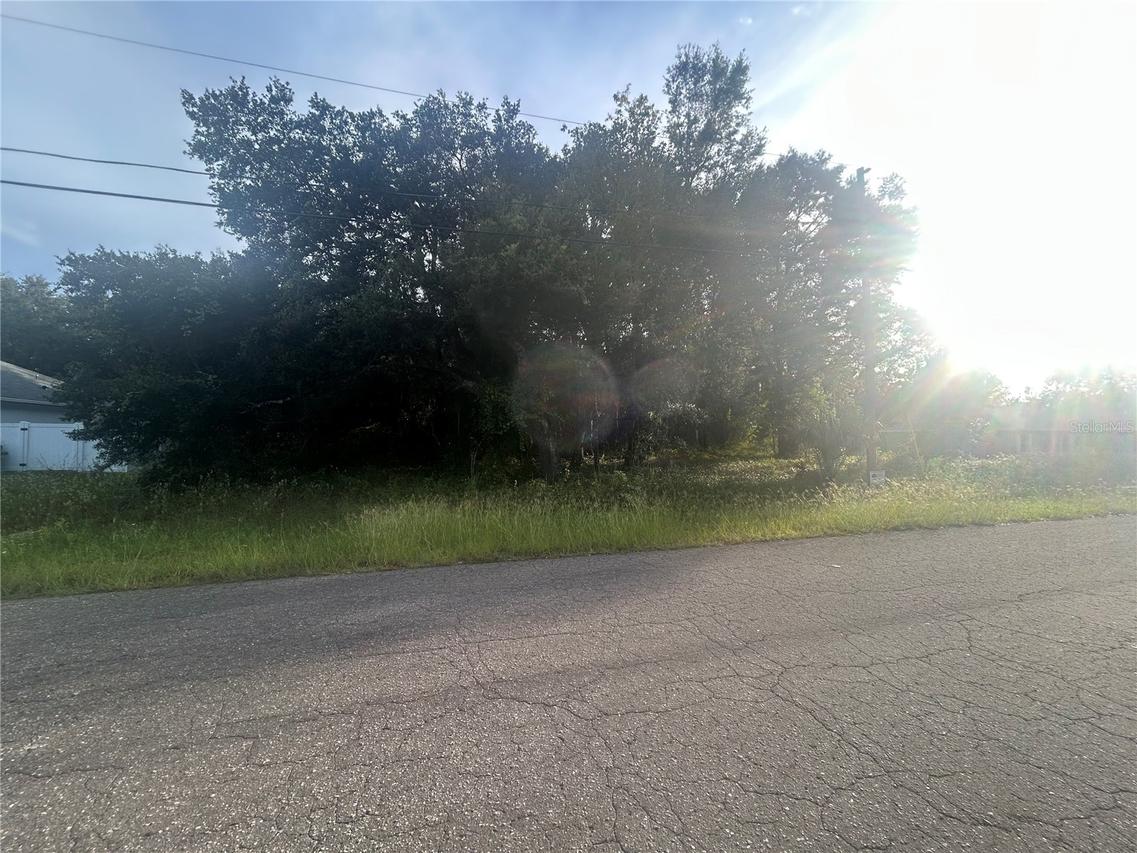 0000 Guava Ter. #4, Ocklawaha, FL 32179