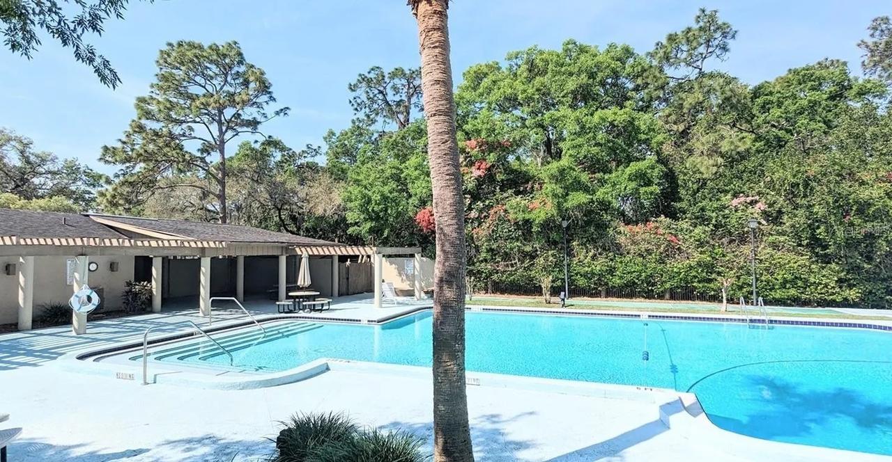 3111 Creekglen Ct., Brandon, FL 33511