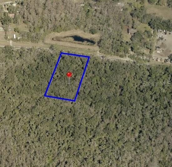 S Orange Blossom Tr., Davenport, FL 33896
