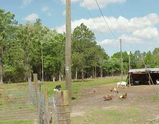 6243 Buck Fever Rd., Polk City, FL 33868