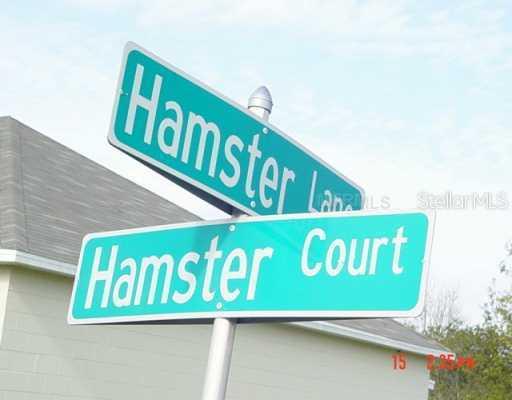 713 Hamster Ct., Kissimmee, FL 34759