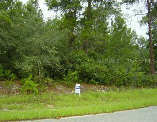 Goldenrod Ln., Kissimmee, FL 34759