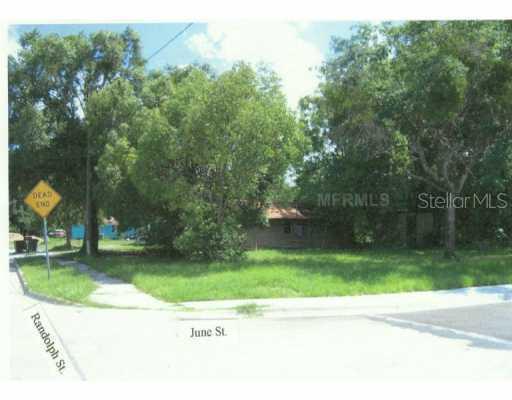 503 N Randolph Ave., Kissimmee, FL 34741