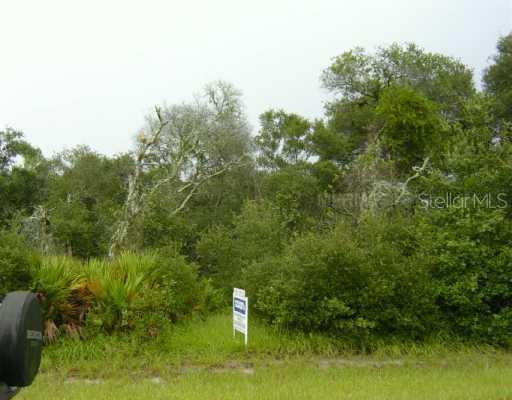 1207 Wahneta Dr., Kissimmee, FL 34759