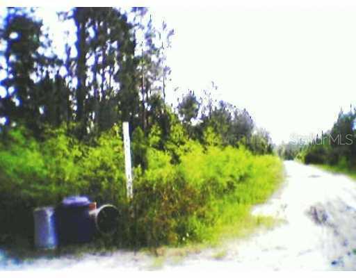 Winning Woods Tr., De Leon Springs, FL 32130