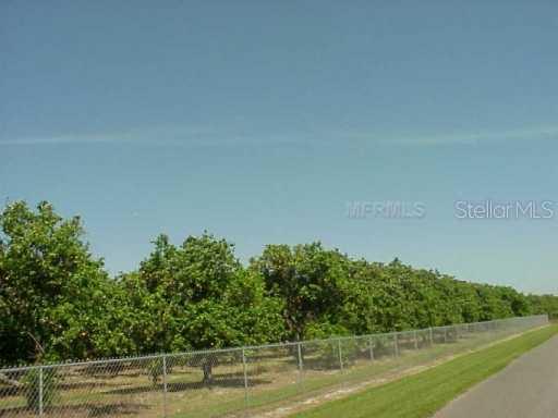 Packard Ave., St Cloud, FL 34772