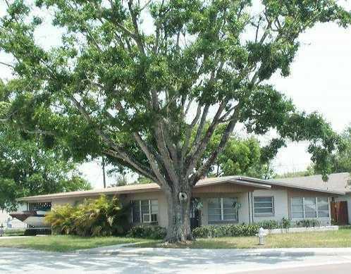 1401 Vermont Ave., St. Cloud, FL 34769