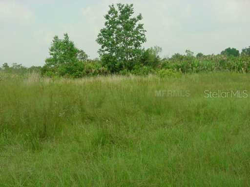 6056 & 6054 Journigan  And Not Known Address Rd., St. Cloud, FL 34773