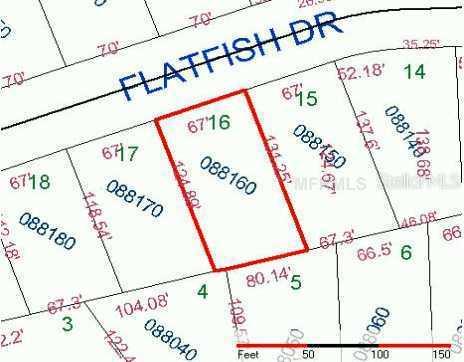 Flatfish Dr., Kissimmee, FL 34759