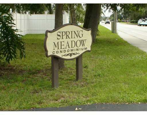 1114 Spring Meadow Dr., Kissimmee, FL 34741