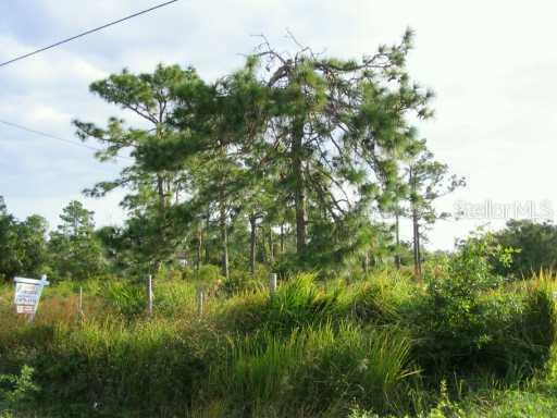 Henry J Ave., St Cloud, FL 34772