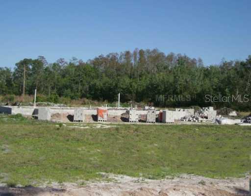 4235 Fanny Bass Rd., St. Cloud, FL 34772