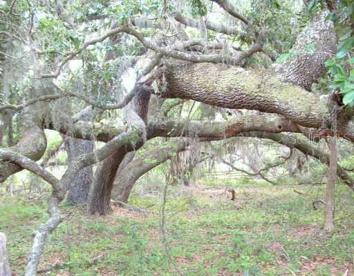 4600 Rummell Rd., St Cloud, FL 34771