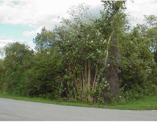 Missouri Ave., Saint Cloud, FL 34769