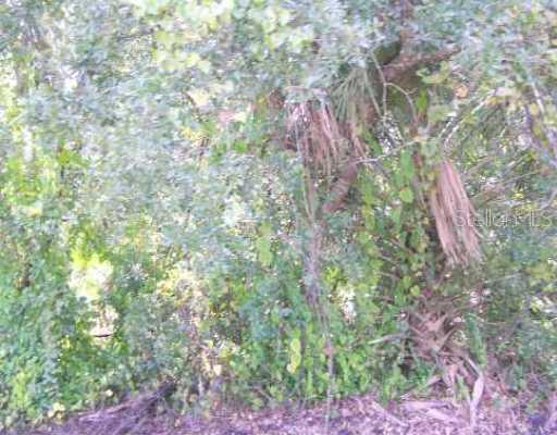 5818 Old Tampa Hwy., Davenport, FL 33896