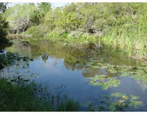 Billberry St., North Port, FL 34288