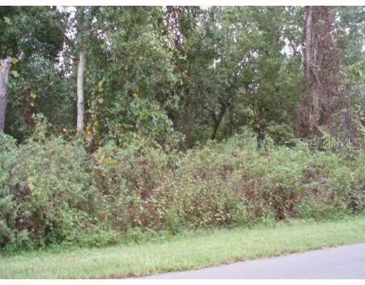 Story Road, Saint Cloud, FL 34772