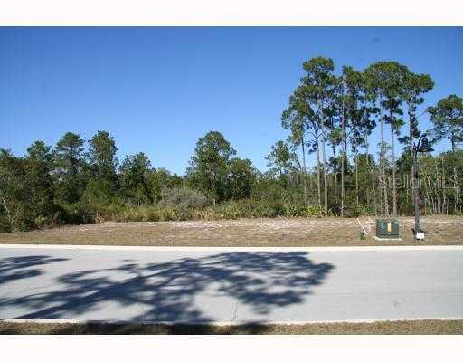 Oak Glen Trl Unit, Harmony, FL 34771