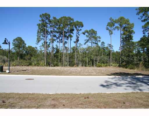 Oak Glen Trl Unit, Harmony, FL 34771