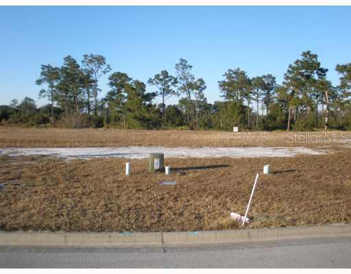 Fairview Cir., Kissimmee, FL 34747