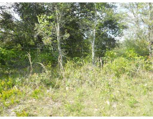 Mammoth Grove Rd - Lot 24, Lake Wales, FL 33898