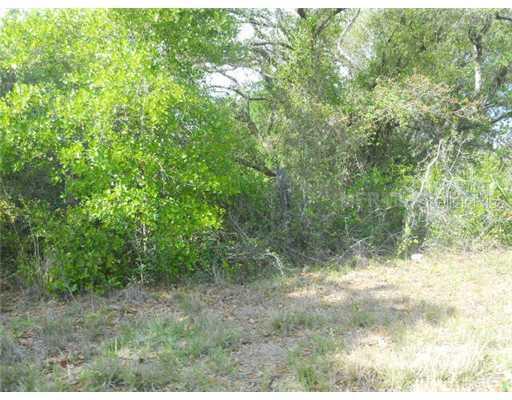 Mammoth Grove Rd - Lot 16, Lake Wales, FL 33898