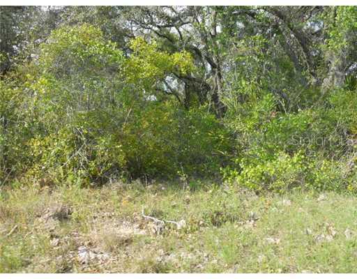 Mammoth Grove Rd - Lot 4, Lake Wales, FL 33898