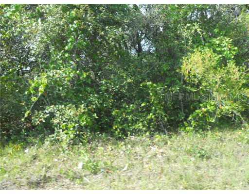 Mammoth Grove Rd - Lot 22, Lake Wales, FL 33898