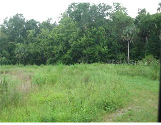 Adair Rd., Davenport, FL 33837