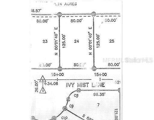 6609 Ivy Mist Ln., Davenport, FL 33896