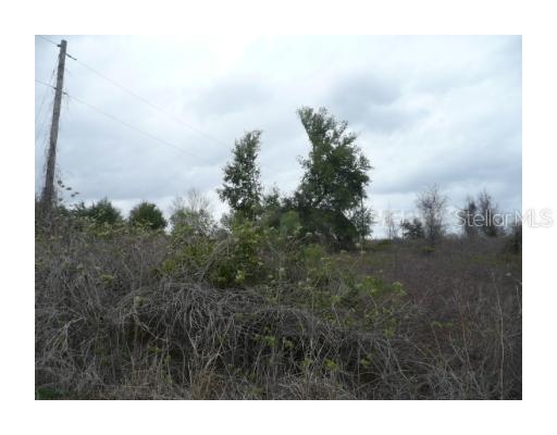 [Address Hidden by Seller], Clermont, FL 34711