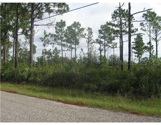 Lasalle Ave., St. Cloud, FL 34772